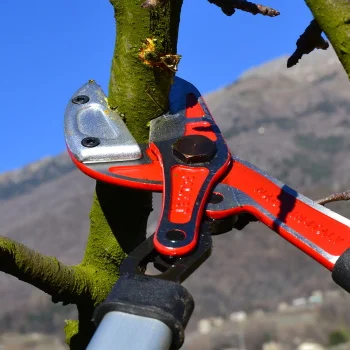 Falket makaze za grane 80cm 8011 Falket makaze za grane 80cm 8011